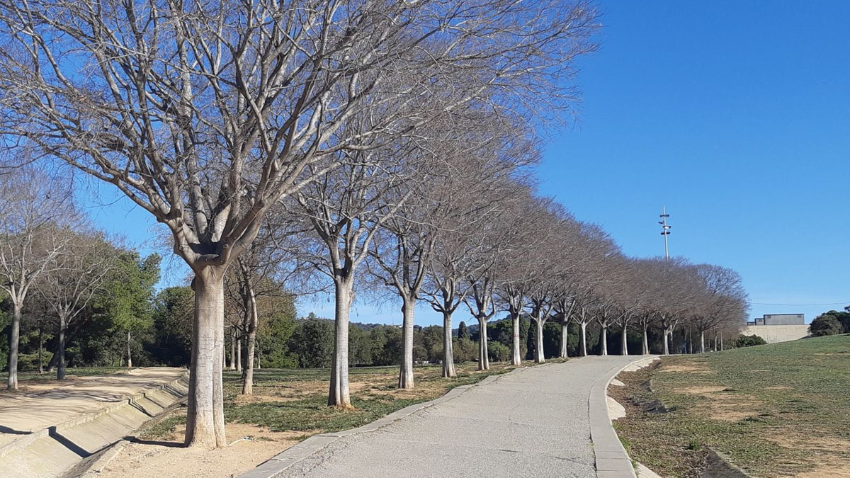 Parque-G4-Badalona Los parques de Badalona