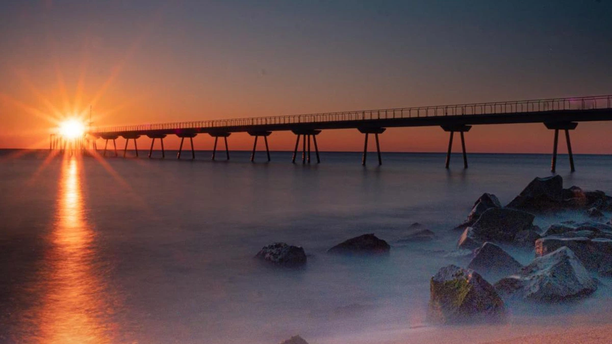 Historia y origen del Pont del Petroli